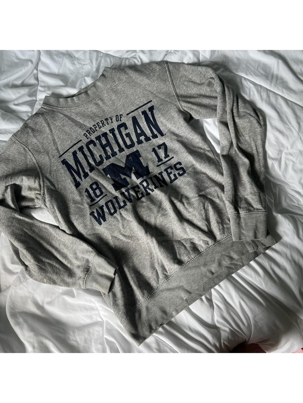 Michigan Crewneck Sweater : S Russell